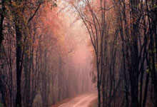 九游娱乐:王猛:雷霆这最后时刻这封锁能力啊 绝对天下第一.