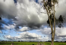 中国男足前主教练李铁涉贪 一审获刑20年.