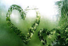 九游娱乐:中国将派出100名运动员参加U15世界中学生运动会.