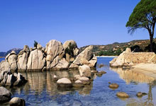 体坛名场面|李月汝最不可思议一球,对方全员都看傻眼,场下的教练震惊无比.